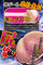 yTRO~ʌzKi肩jllP_聄